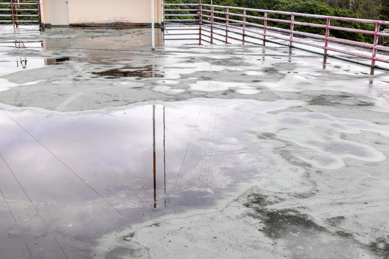 Ponding Water Roof Repair in Overland Park, KS